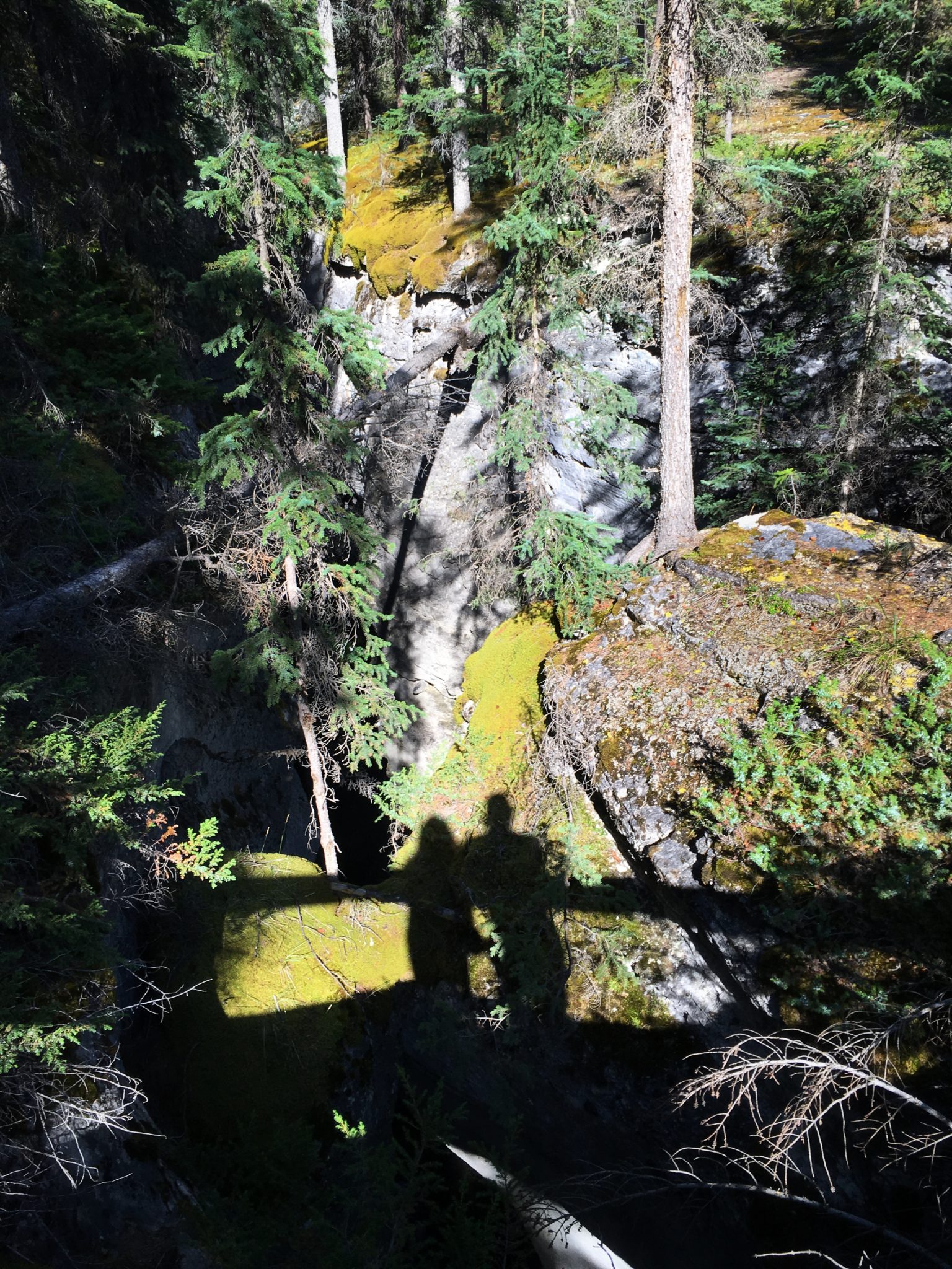 Jasper National Park