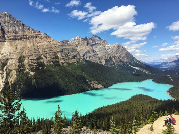 Peyto Lake, Banff National Park