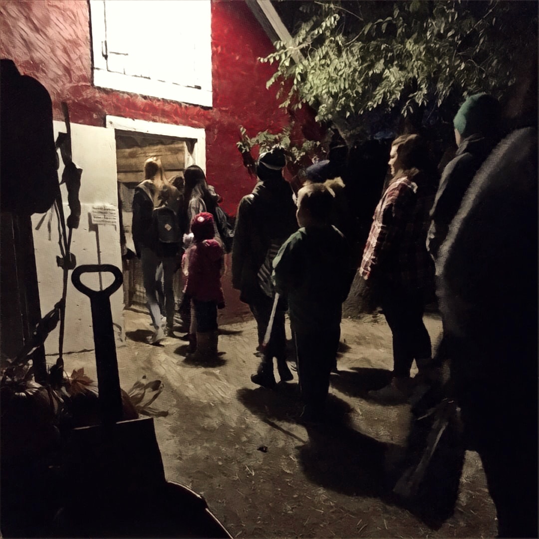 This looks more disturbing than it is. I think you can look at pigs.