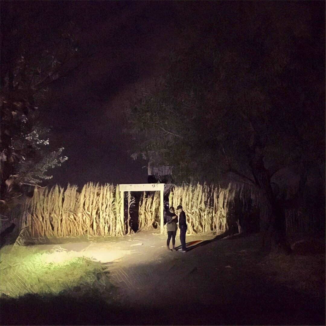 Who wants to go for a lovely walk in the corn field? No, not creepy at all.