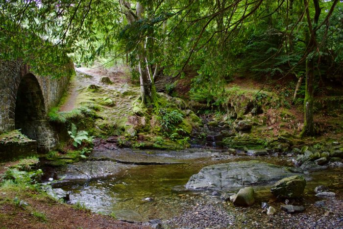 Tollymore Forest, Game of Thrones Tours, Ireland