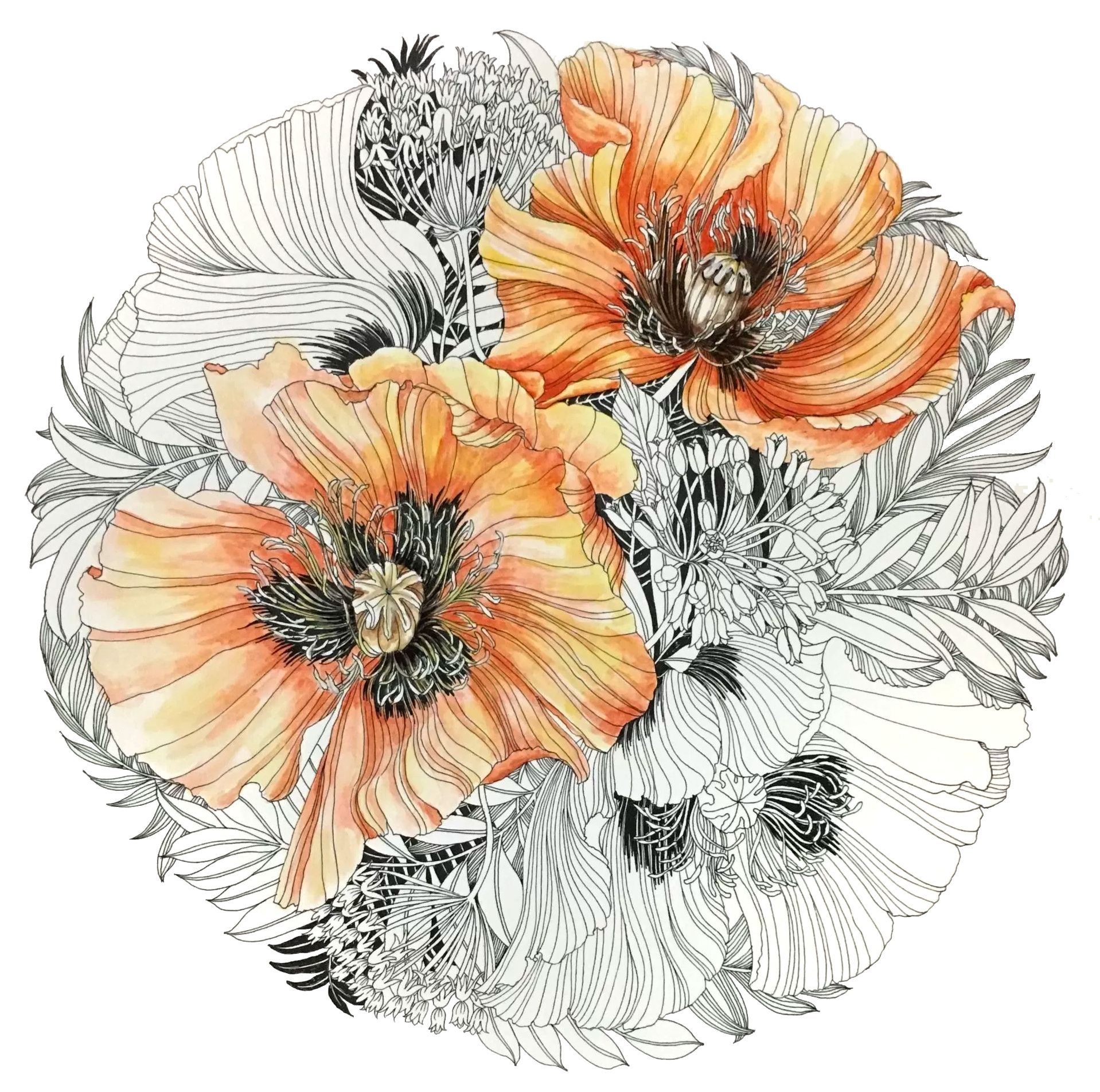 Leila Duly's Floribunda colouring book