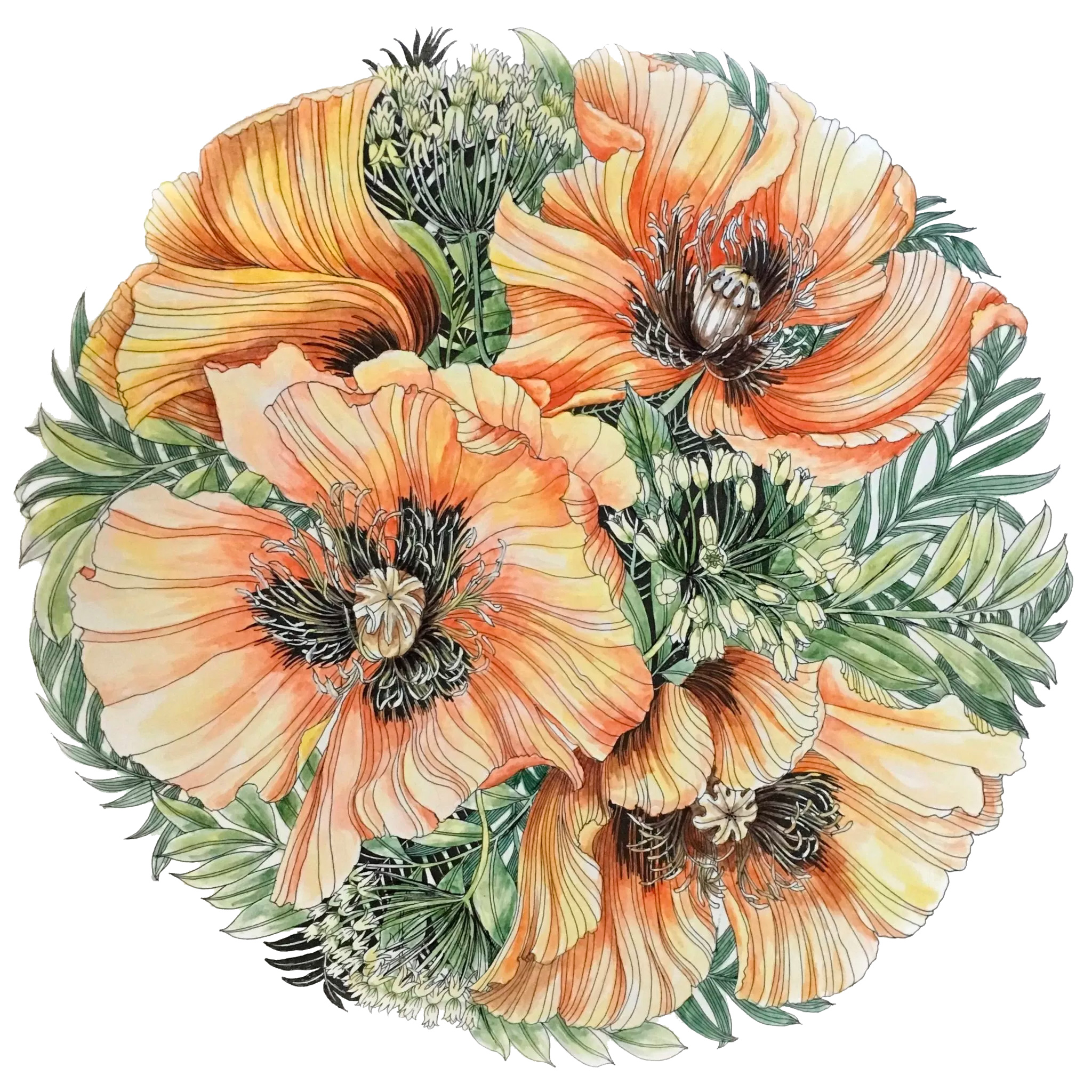 Leila Duly's Floribunda colouring book