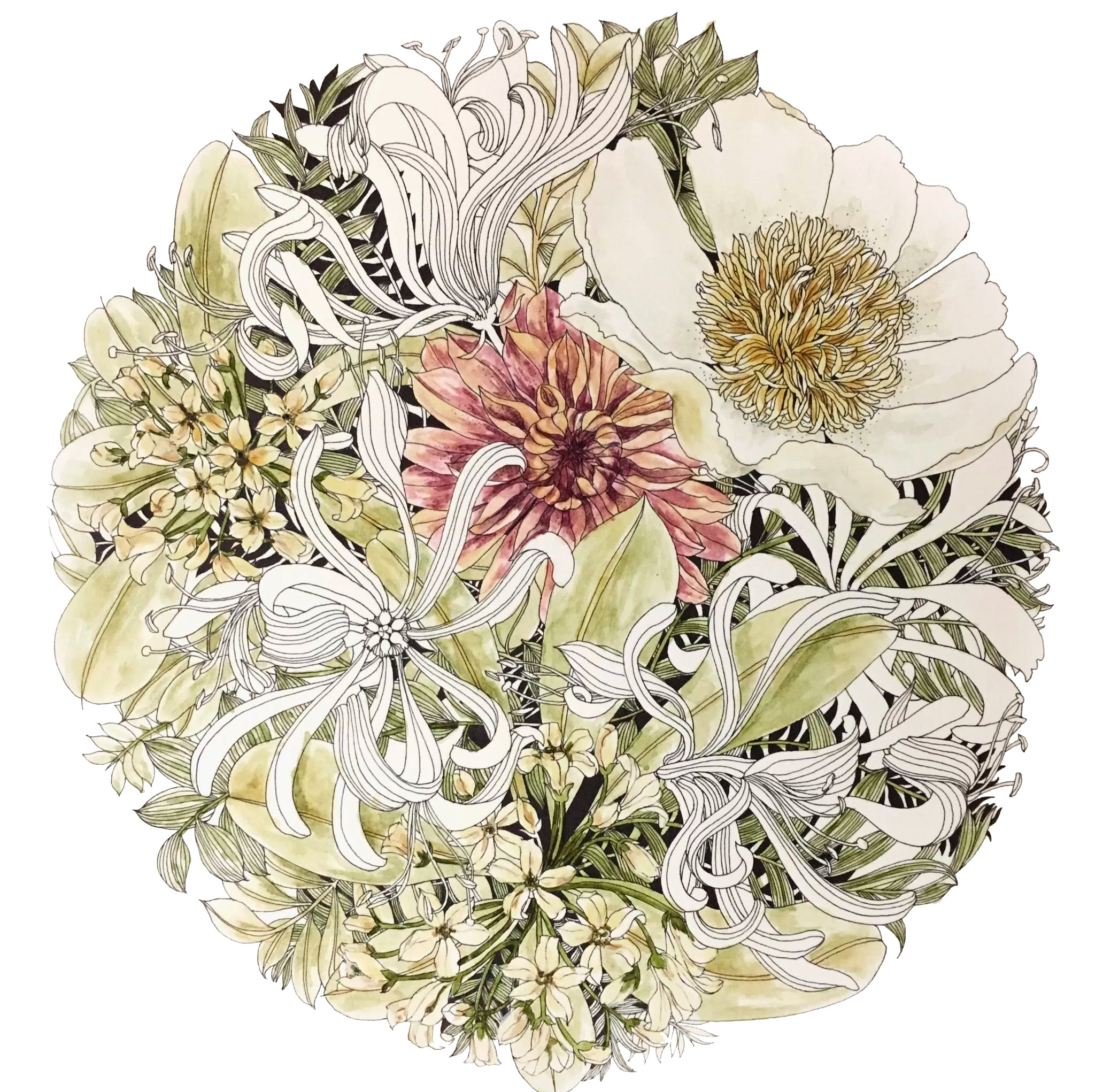 Leila Duly's Floribunda colouring book