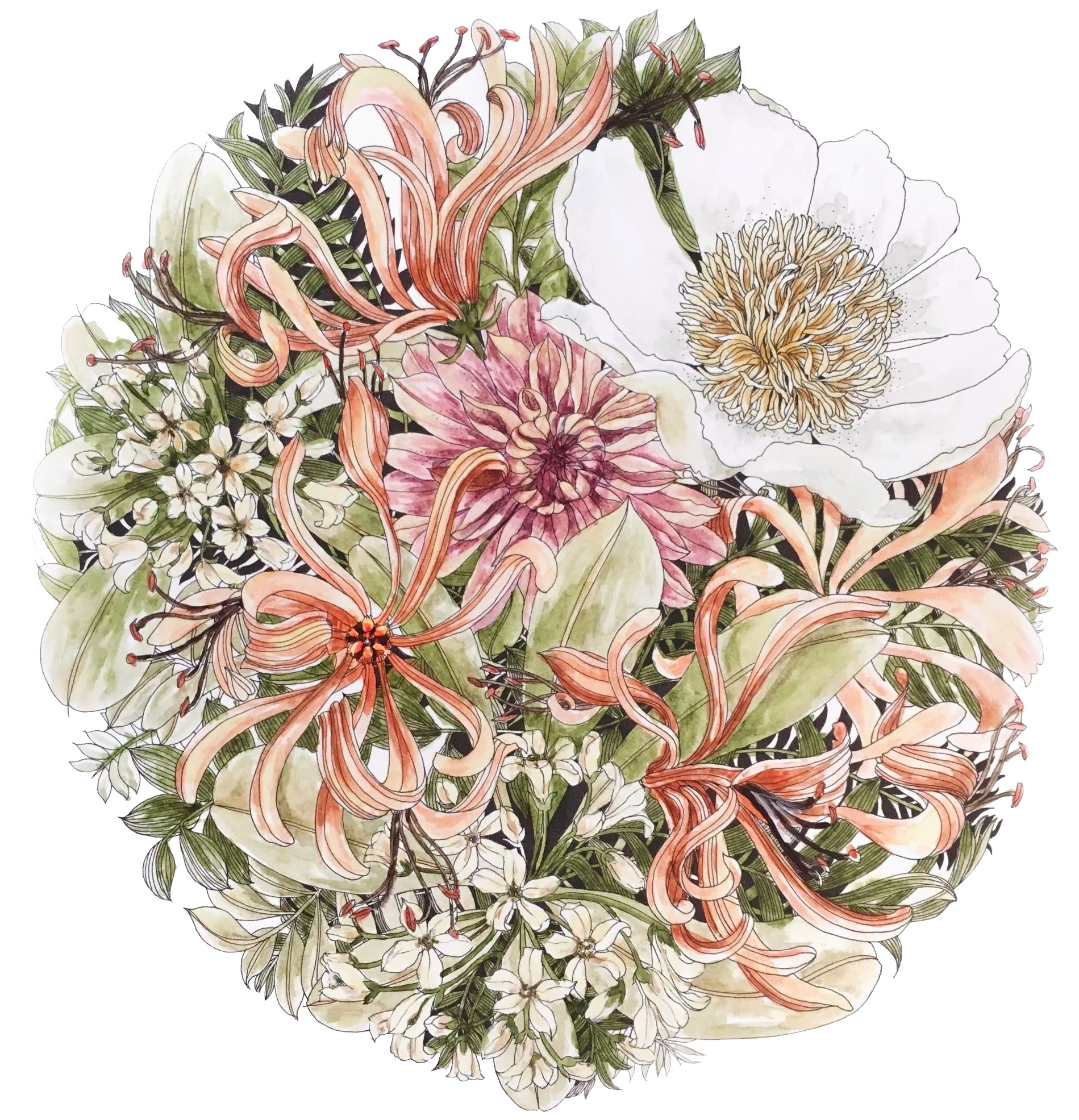 Leila Duly's Floribunda colouring book