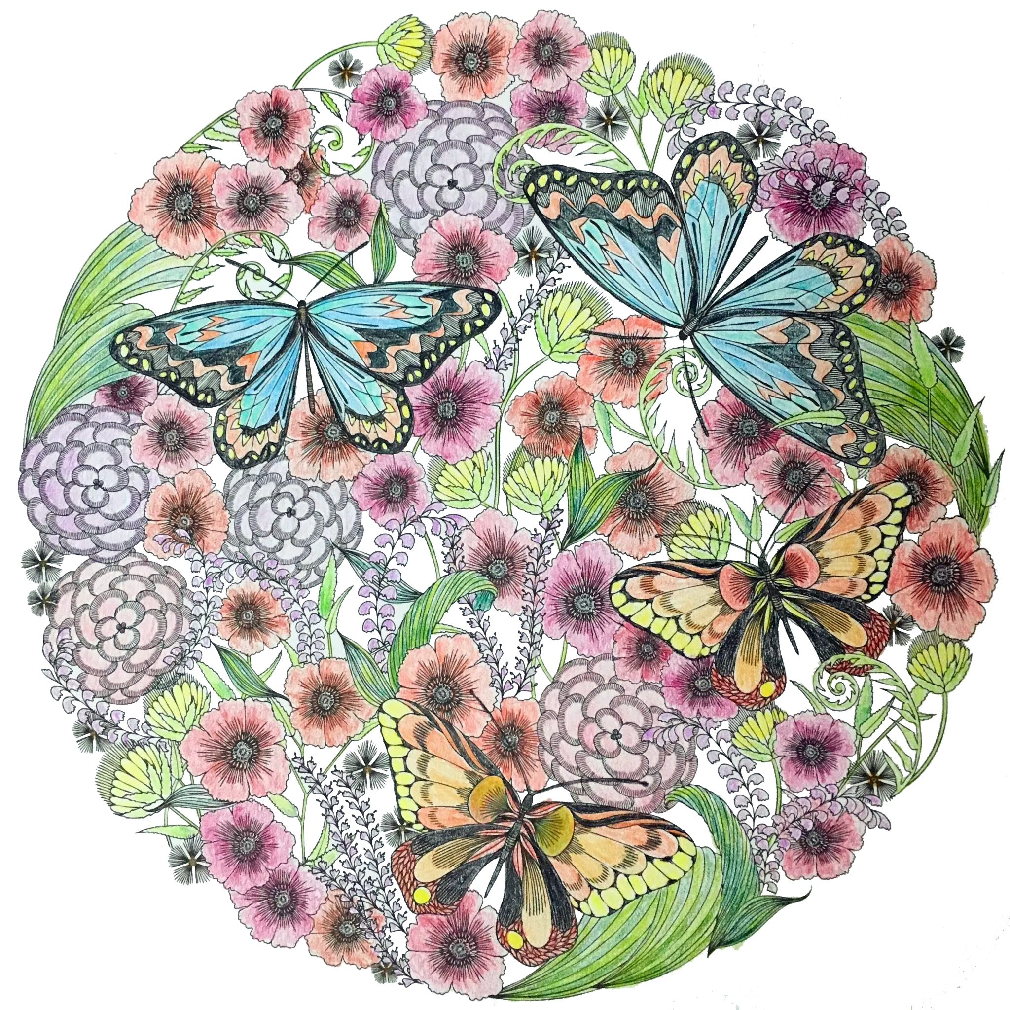 Butterflies and flowers, Animal Kingdom by Millie Marotta