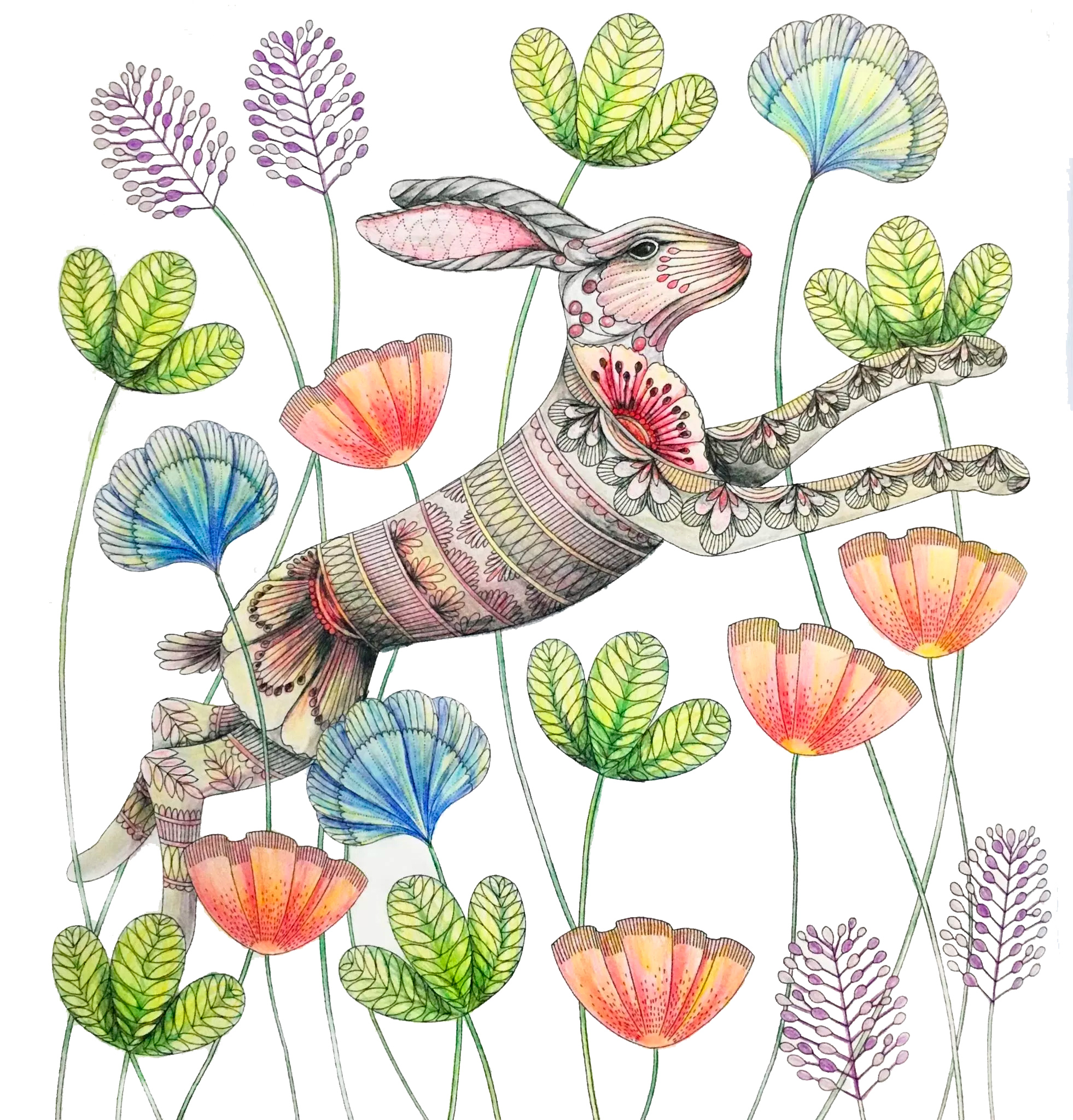 Bunny and flowers, Animal Kingdom by Millie Marotta