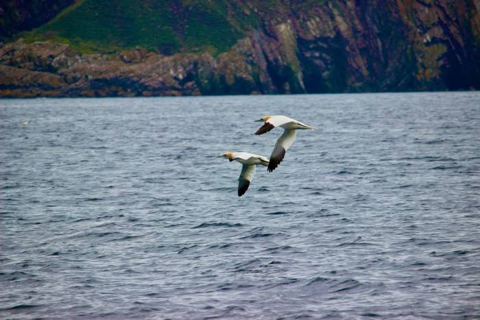 Witless Bay, Newfoundland & Labrador