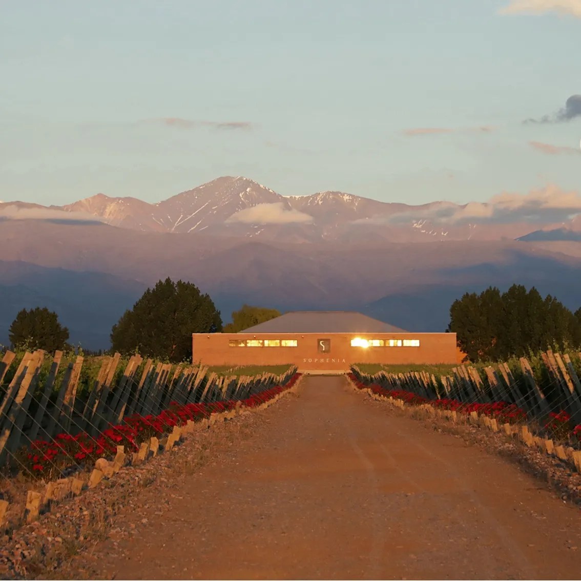 Sophie 01 be wine tours