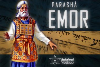 31. EMOR – «HABLA»