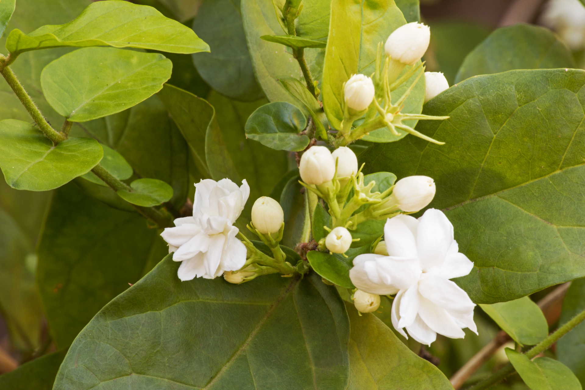 Distance doesn’t separate people. Silence does it!