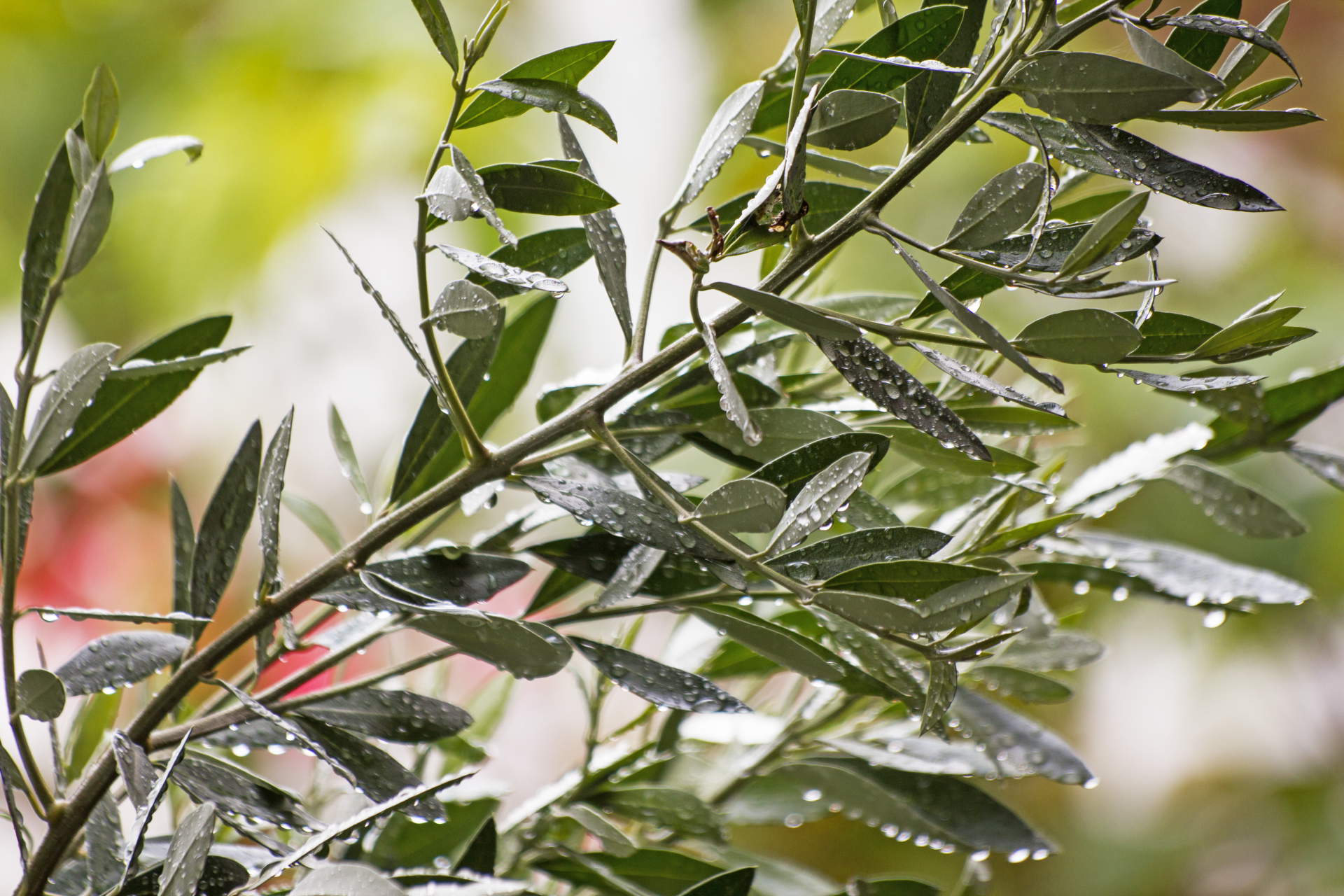 The world will not be destroyed by those who do evil, but by those who watch them without doing anything