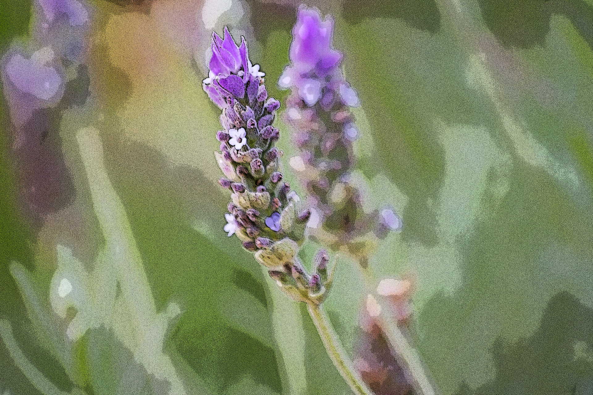 If people don’t make an effort to be in your life, don’t try so hard to be in theirs. It’s not worth it