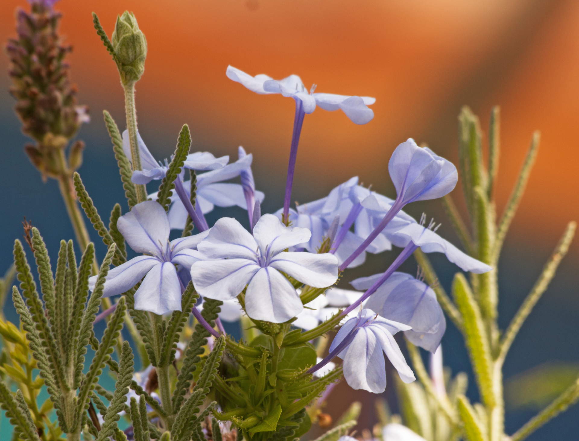 Never judge people by their past. People learn people change, people move on