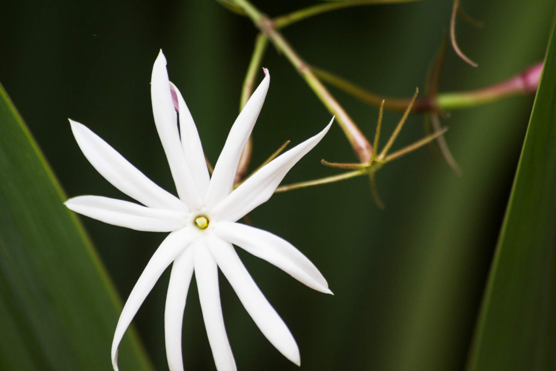 Be a good person, but don’t waste your time proving it!