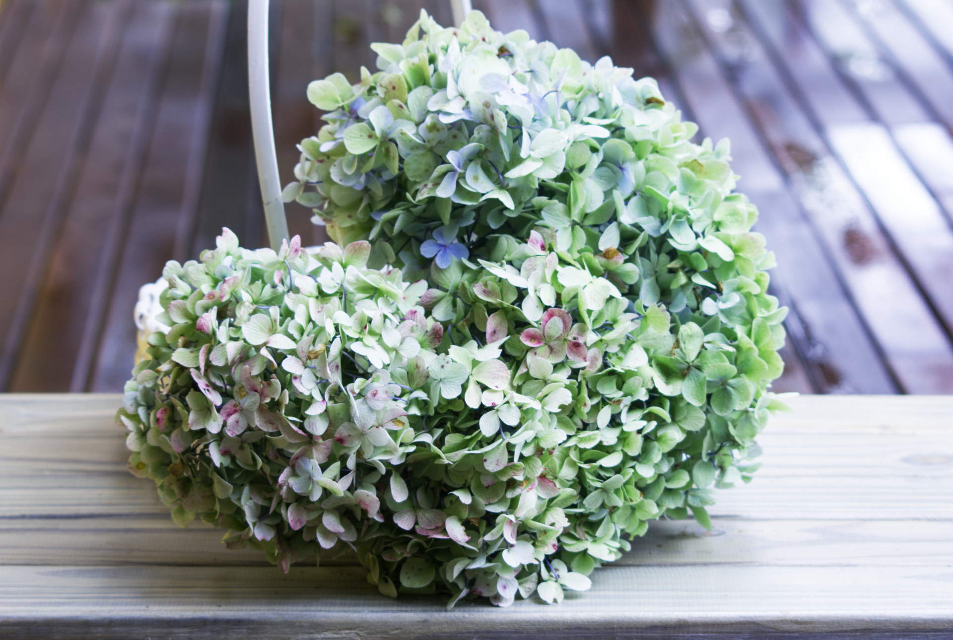 Everything happens for a reason