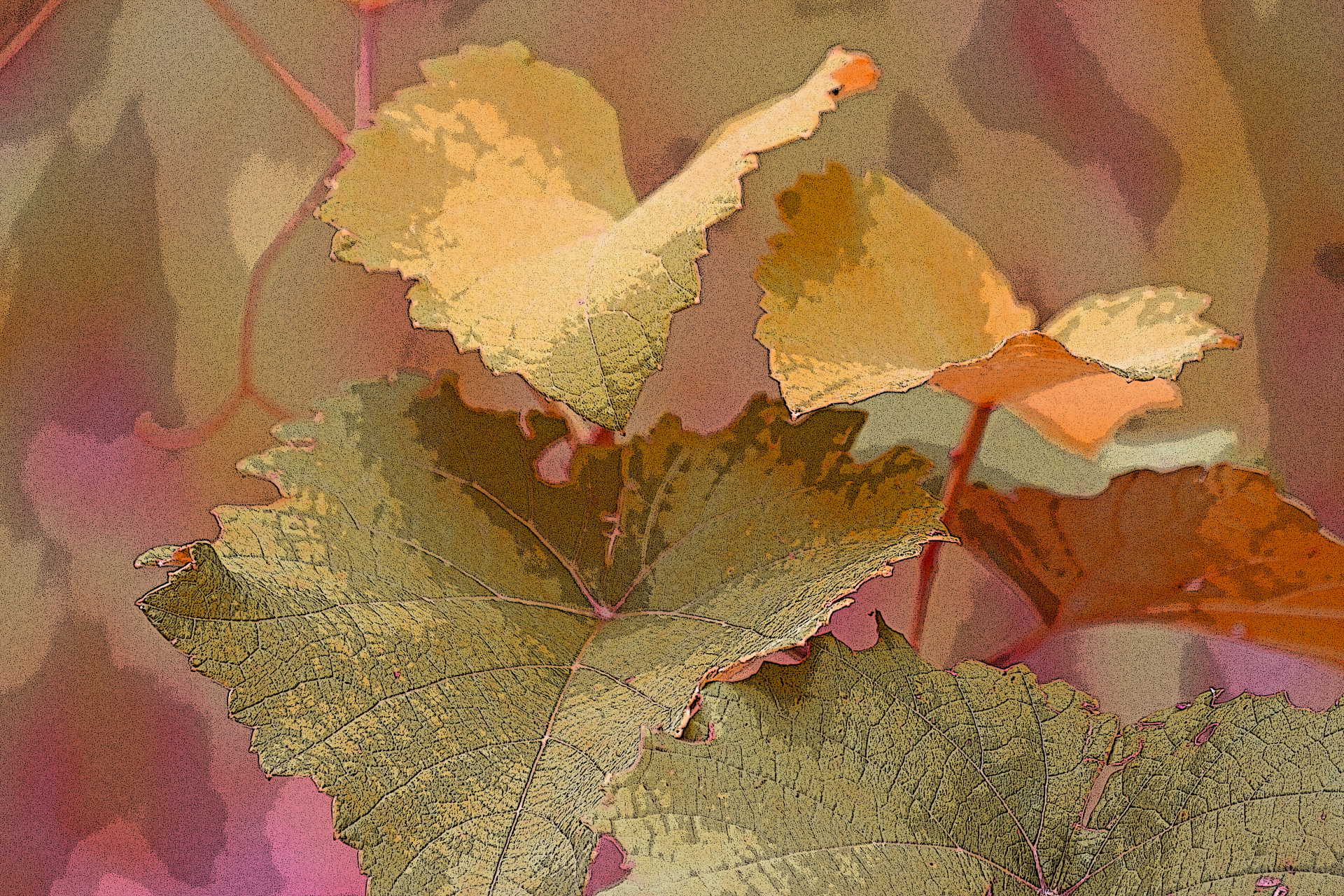 Honesty is a very expensive gift…Don’t expect it from cheap people!