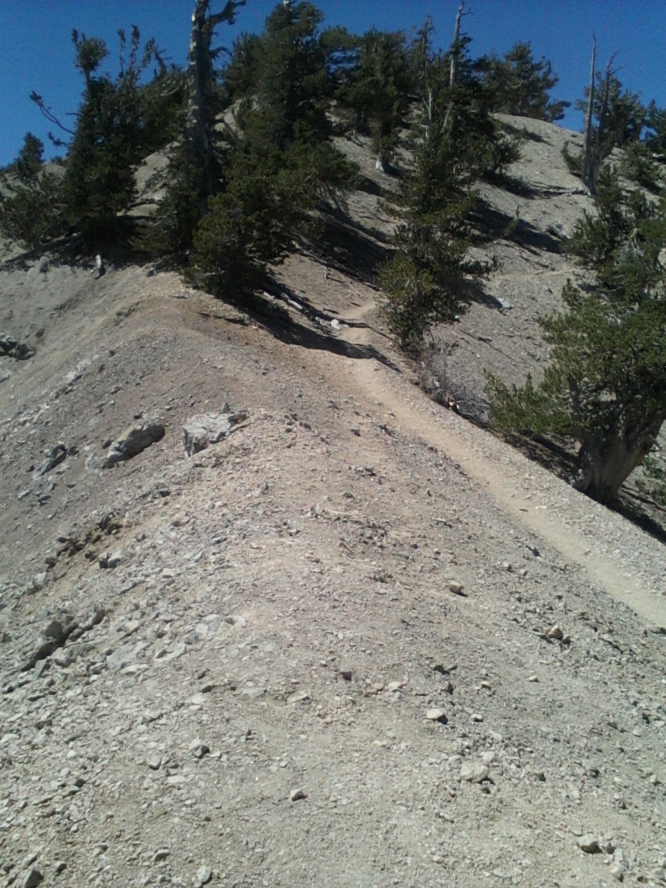 Mt. Baden Powell 009