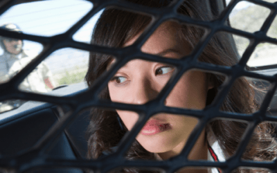House Raids and Interrogations