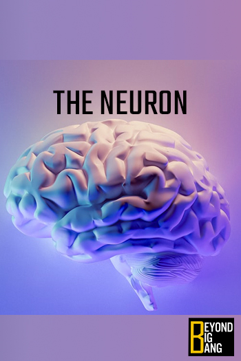 The Neuron