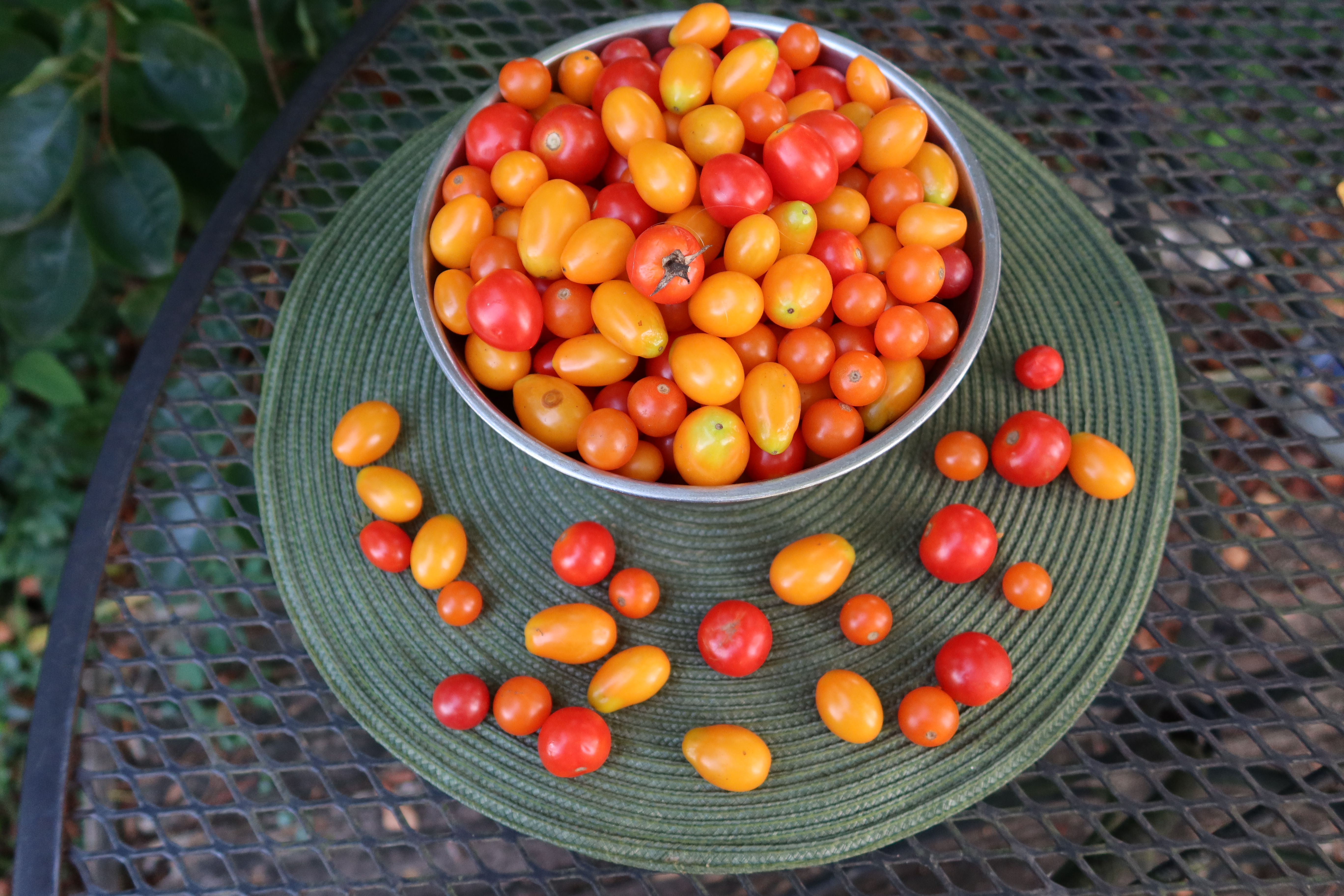 Roasted Cherry Tomato Pasta Sauce – beyondgumbo