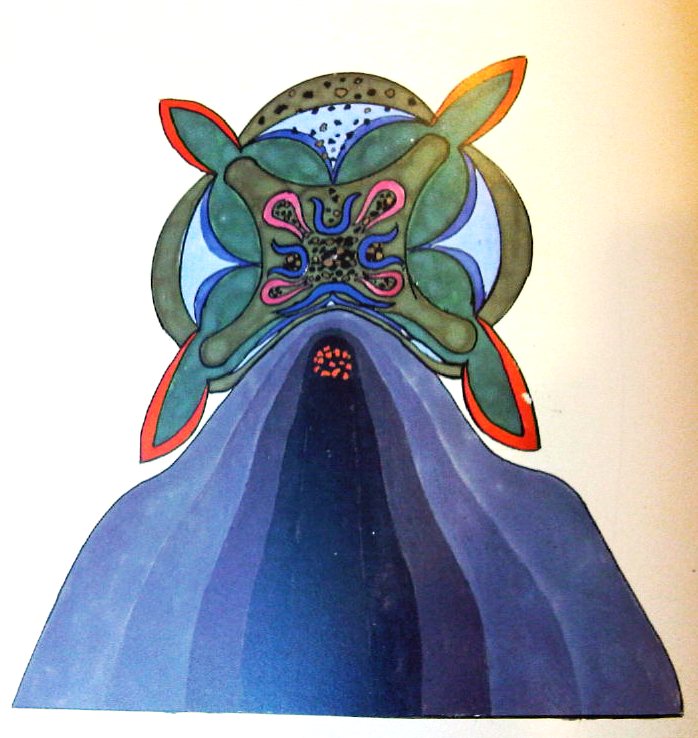 art from Jung's Red Book The Shamanic-like nature of consciousness