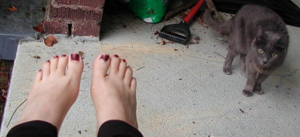 my feet and my grey cat Jezebel for Ode to my feet