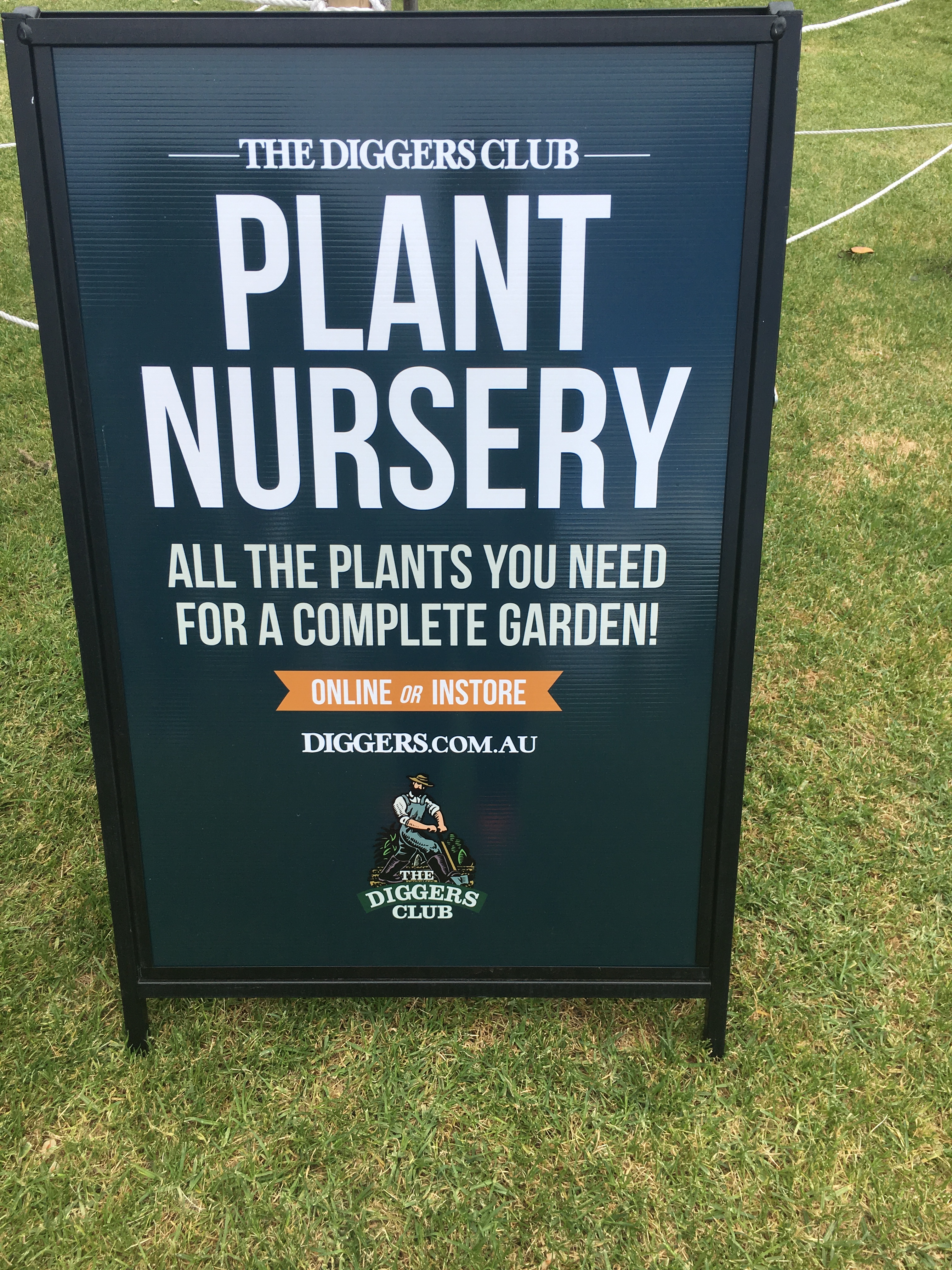 Walkabout and buy a plant