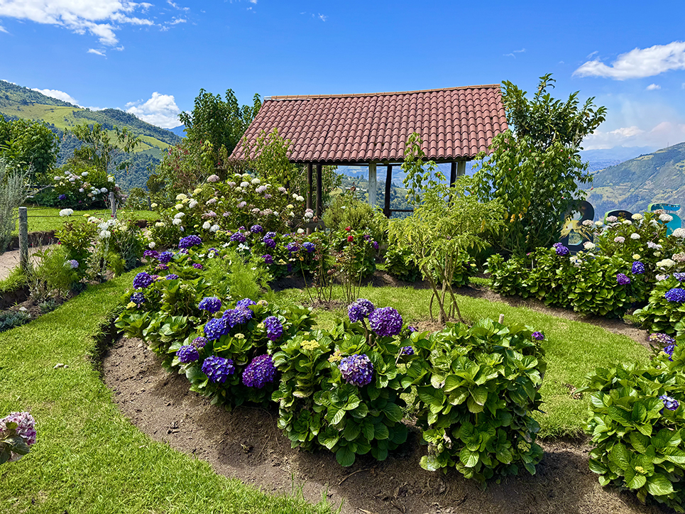 Baños, Ecuador: From Treehouses to Thermal Pools