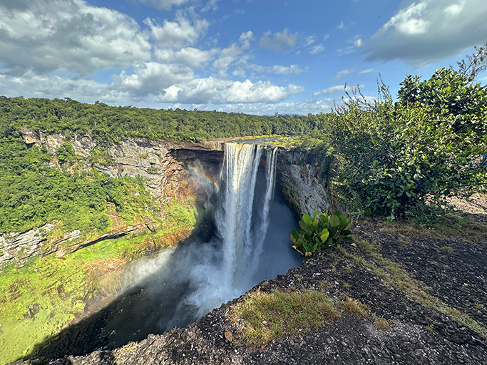 Majestic waterfall in the middle of the rainforest.