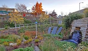 Parking lot converted from an asphalt desert to a community green space.