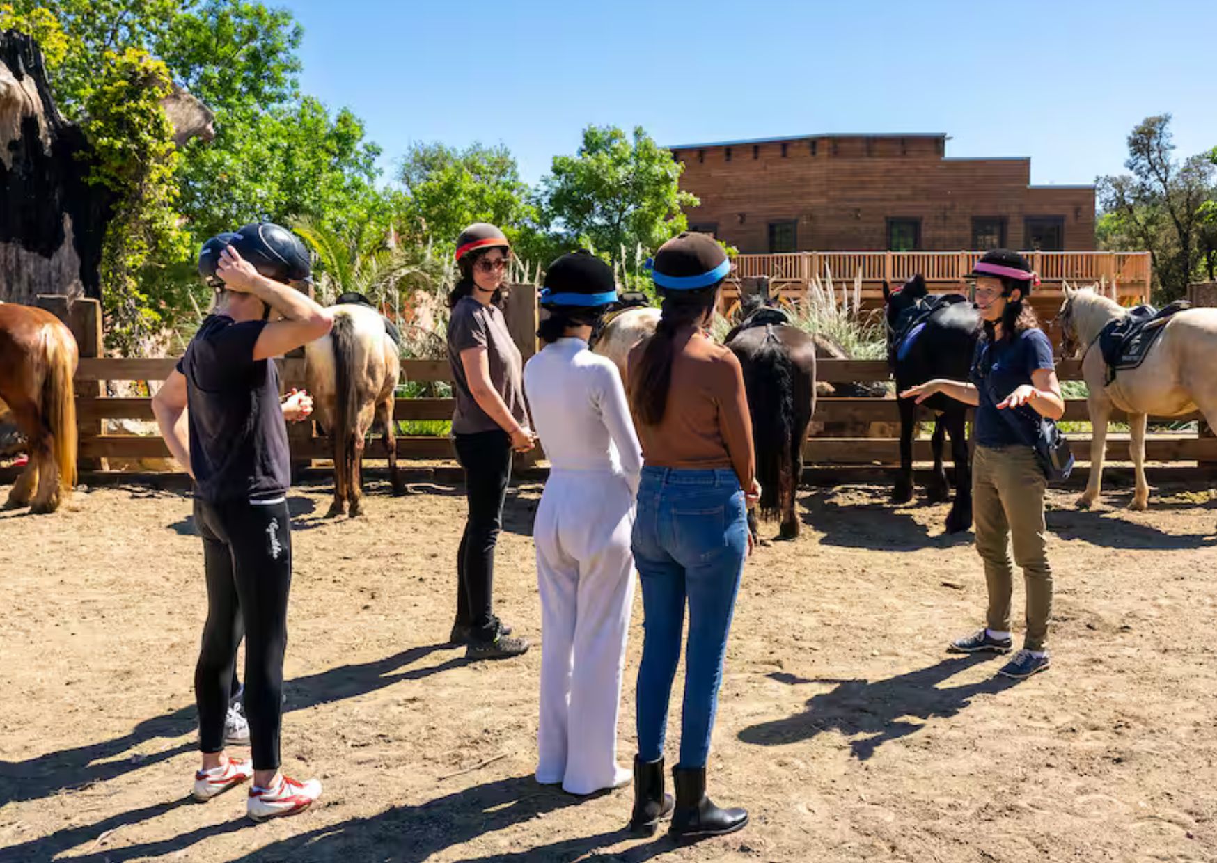wine tour horseriding grimaud wine tasting wine lovers oenology provence rosé tasting grimaud ranch de la mène