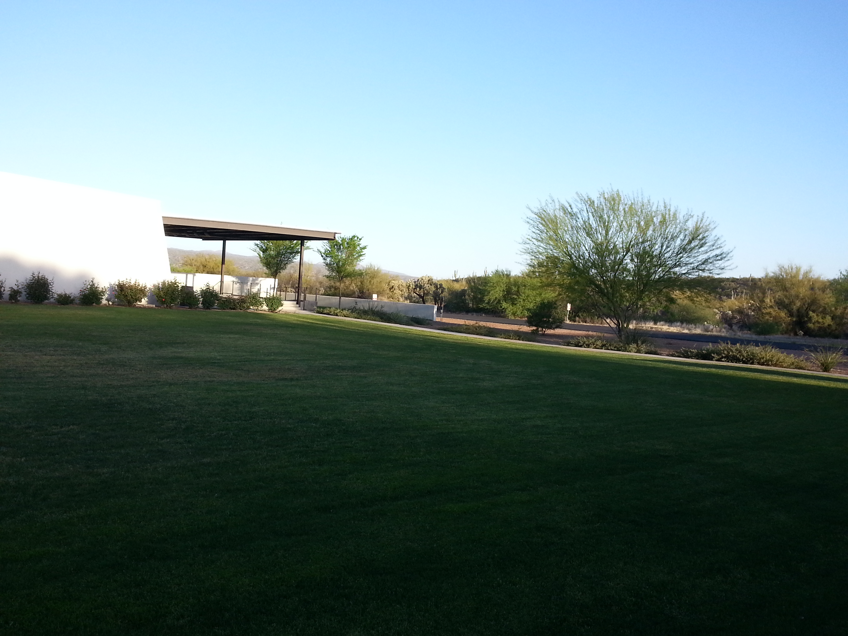 Can you find the roadrunner?