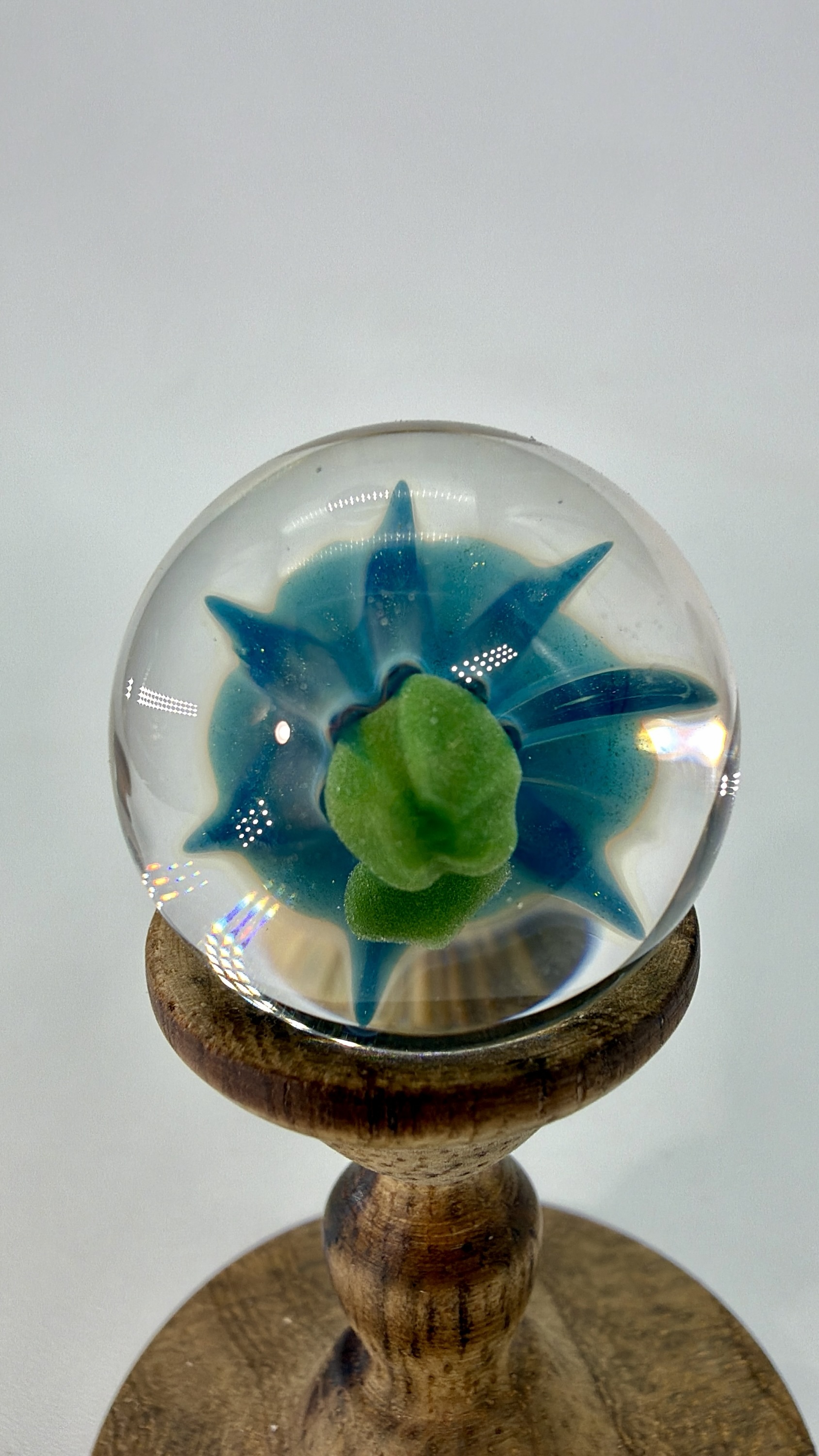 0.87” Blue Morning Glory Flower Marble