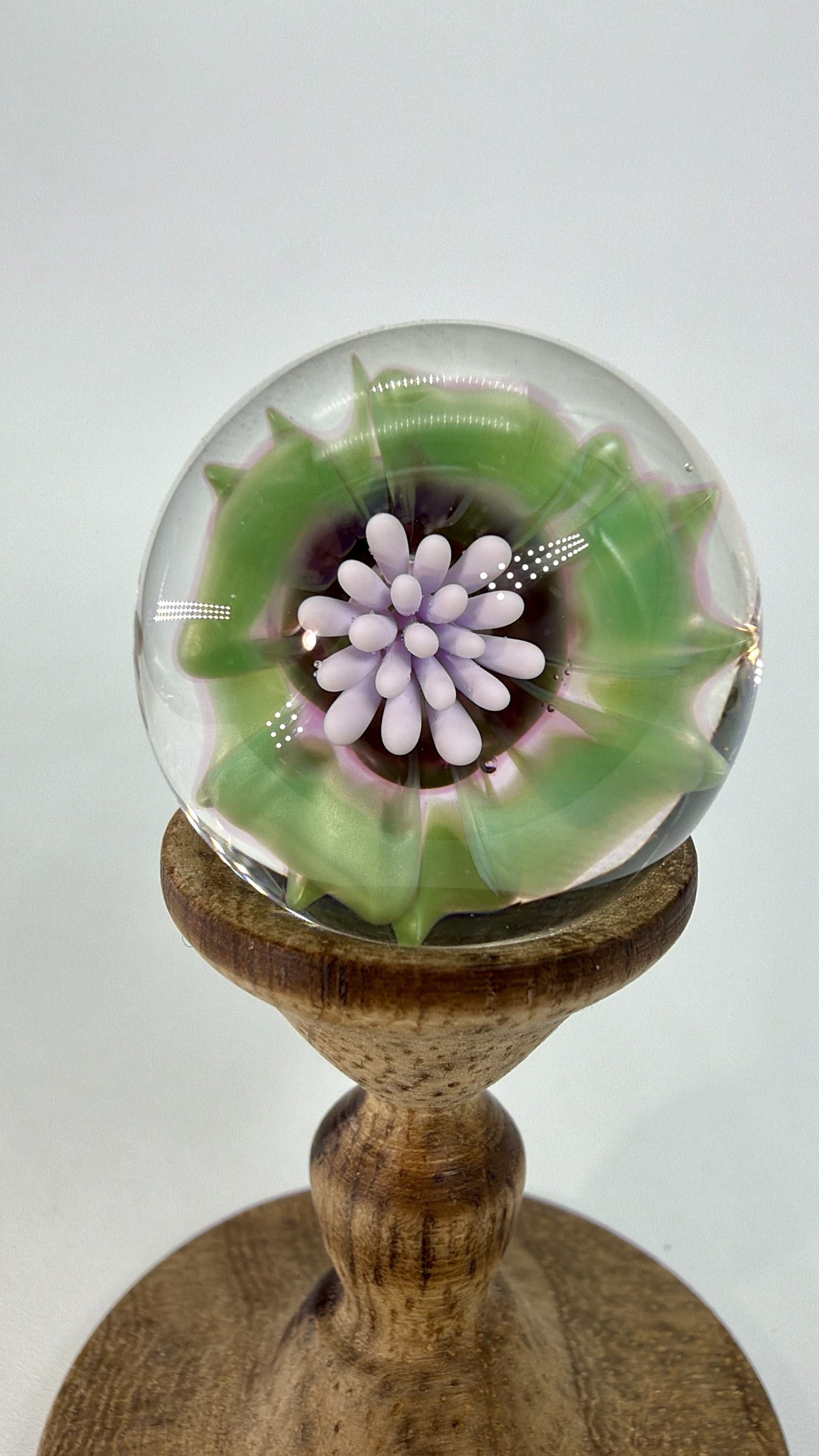 0.90” Royal Jelly Over Chromium Flower Marble