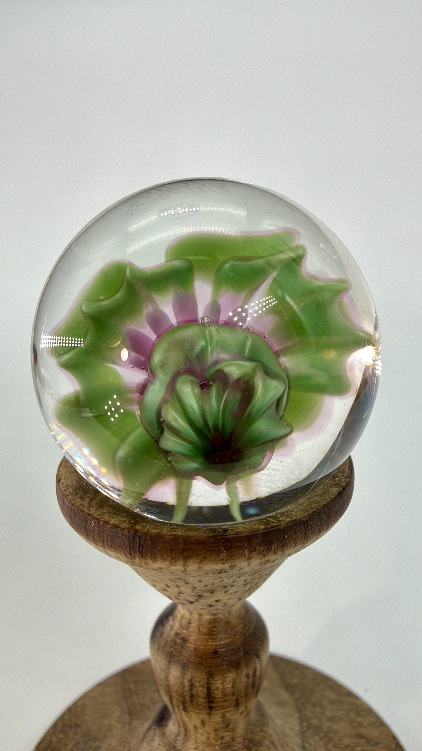 0.90” Royal Jelly Over Chromium Flower Marble