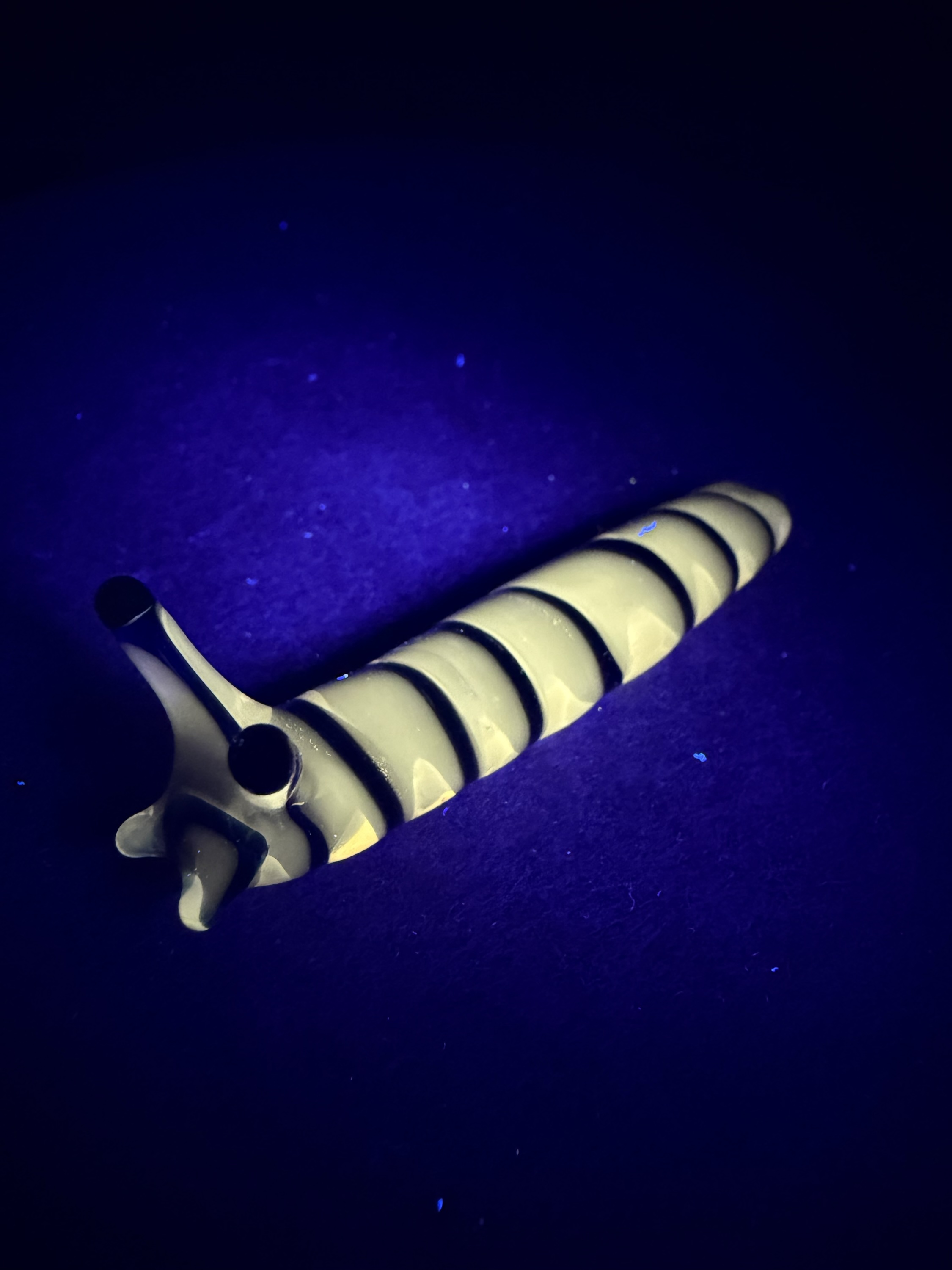 Blue/Champagne Slug Sculpture