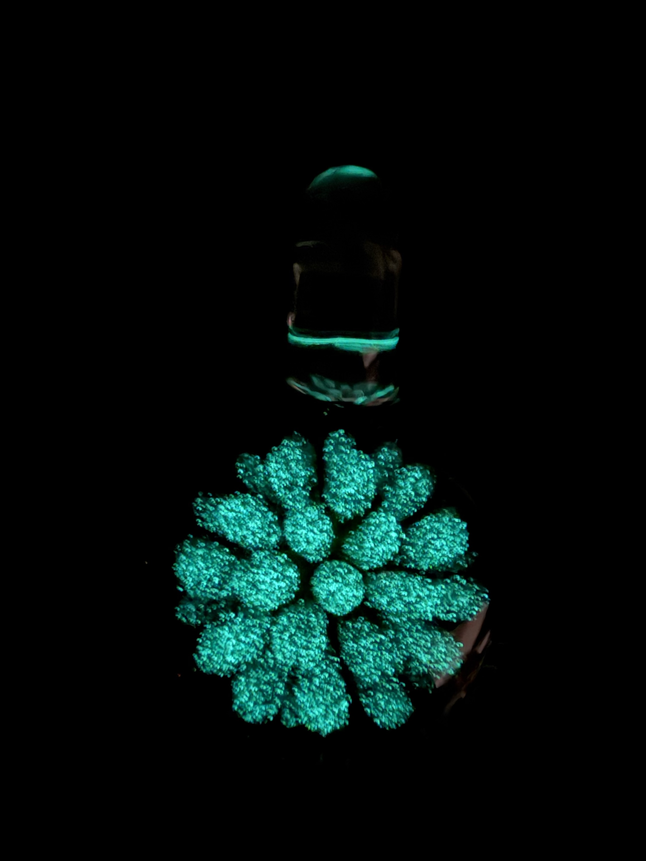 Uranium/Glow Glass Puff Flower Pendant