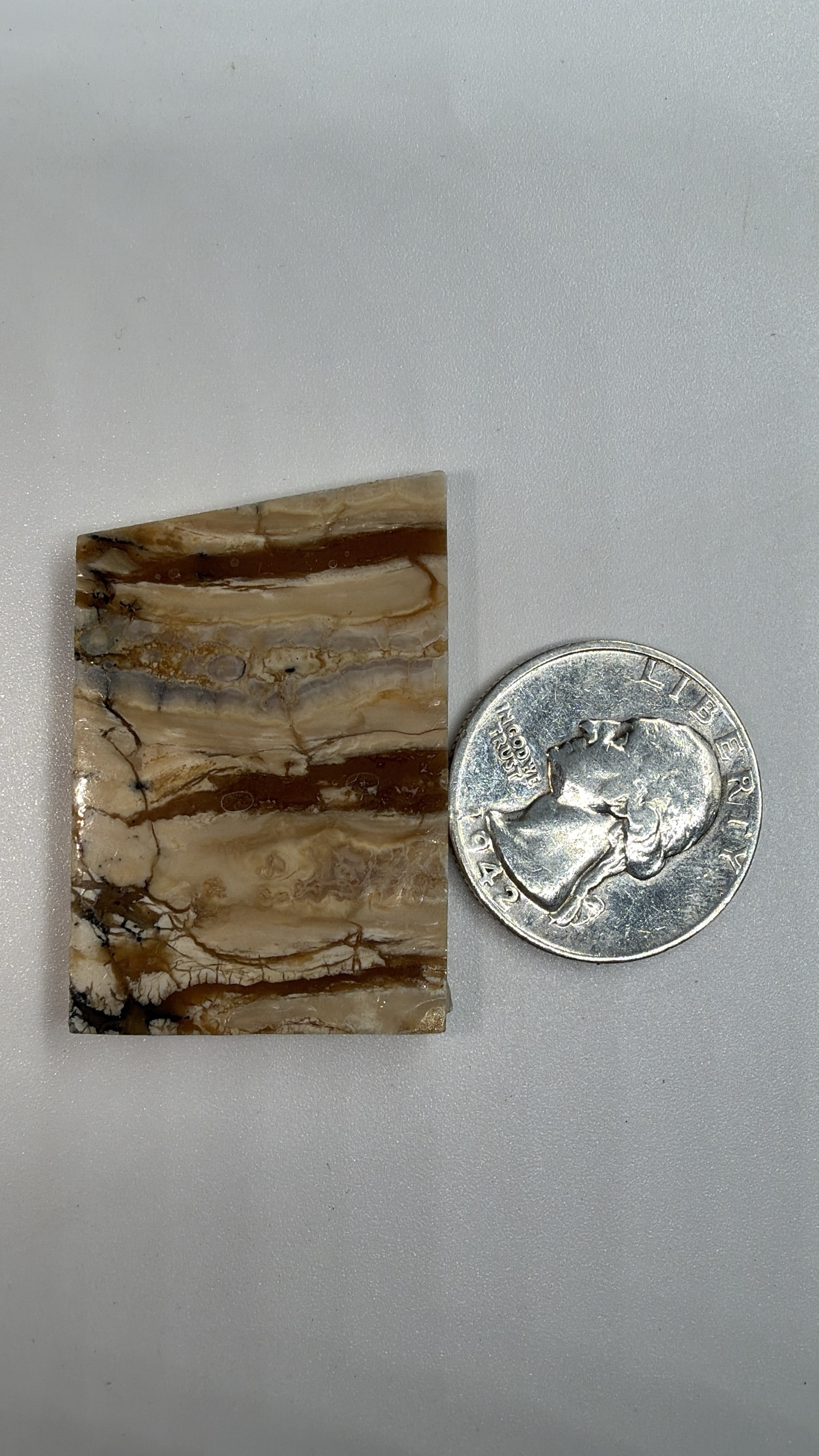 Woolly Mammoth Ivory Slab — Ice Age Fossil Specimen #2