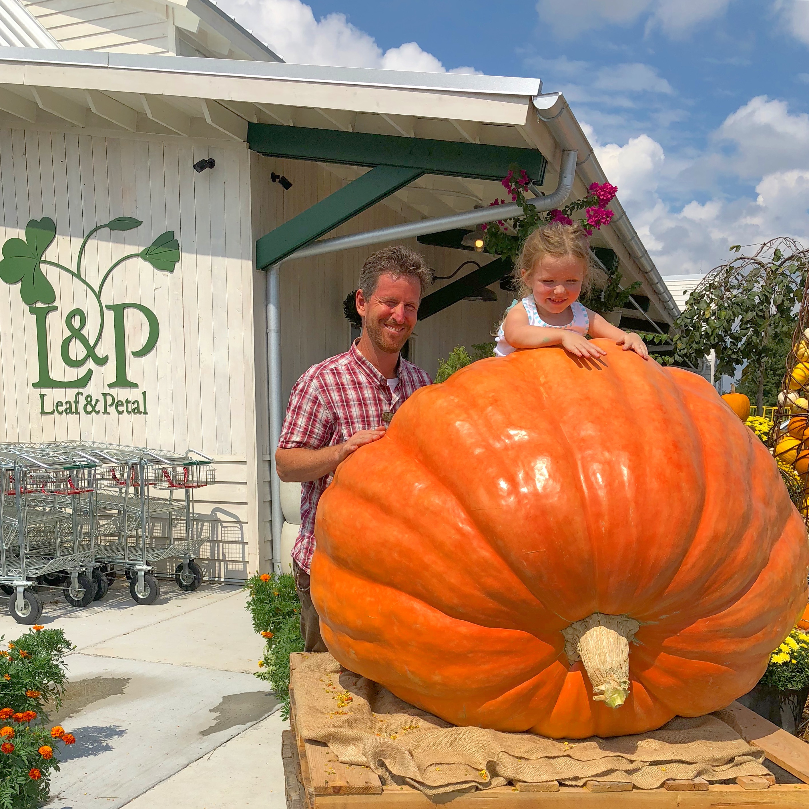 This 800-pound pumpkin just rolled Into Cahaba Heights—see it now