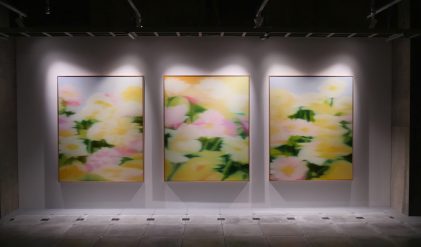 ART IN THE PARK - 12 ART IN THE PARK - 12