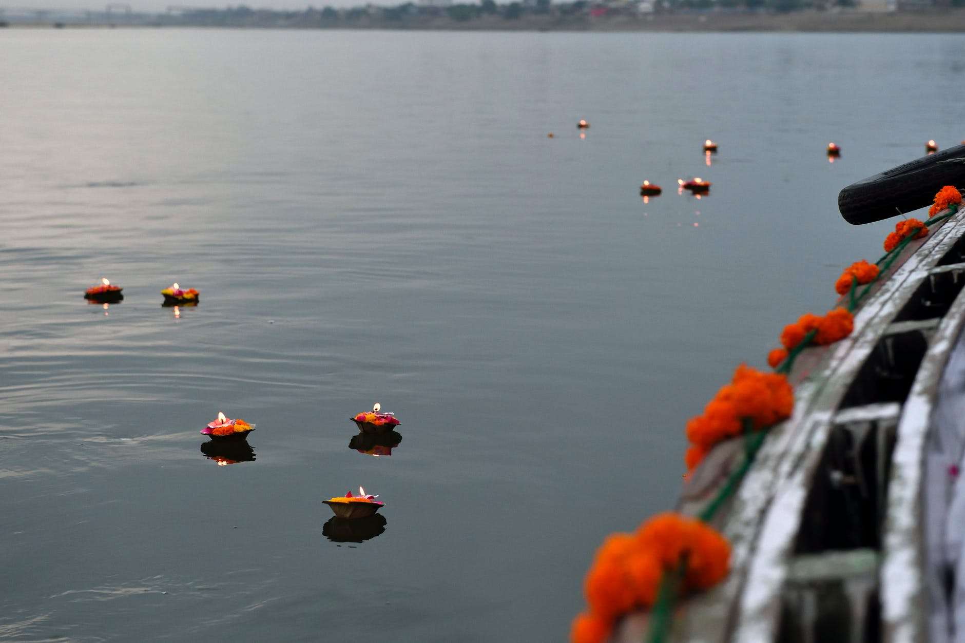 orange flowers on water