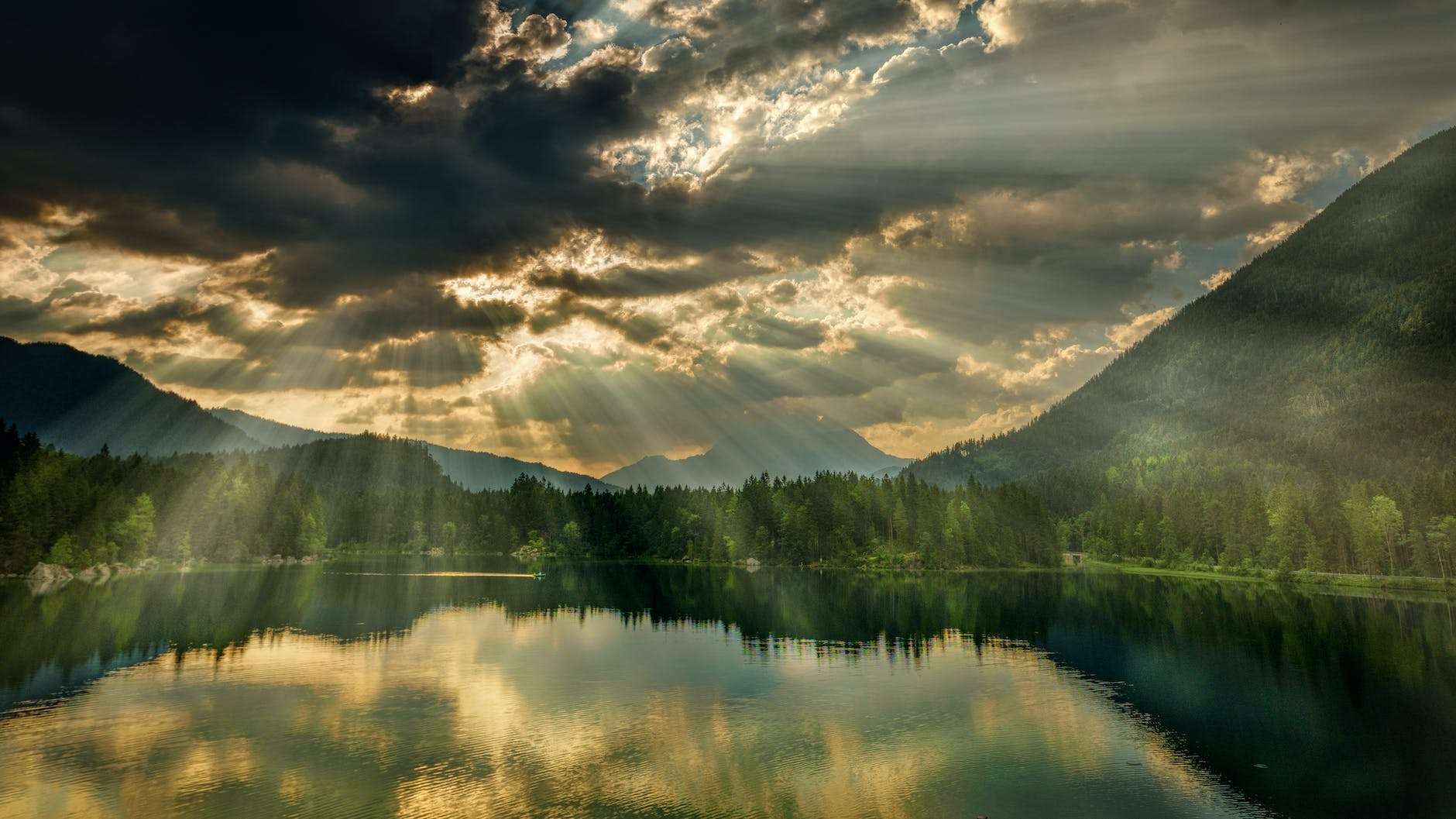 trees near body of water under dark clouds