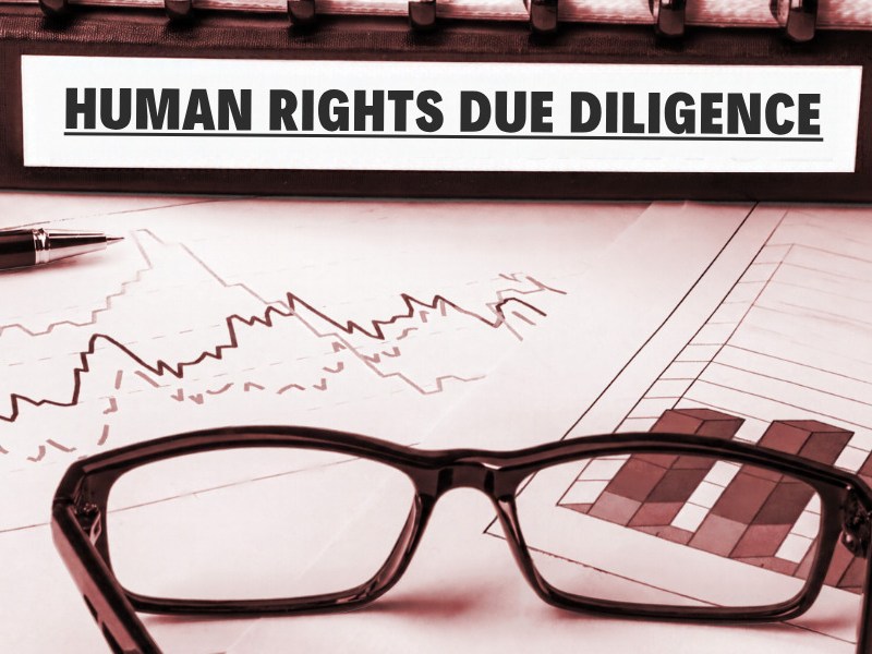 From Paris to the Niger Delta: Why Human Rights Due Diligence Has a Geography Problem