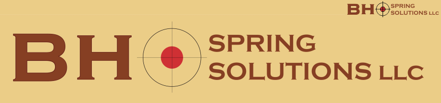 BHSpringSolutions  LLC