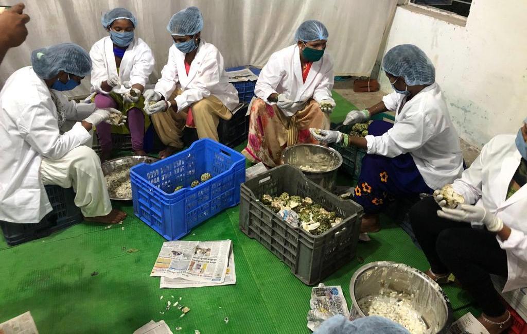 मरवाही अरण्य फल प्रसंस्करण से खुला आय का अवसर