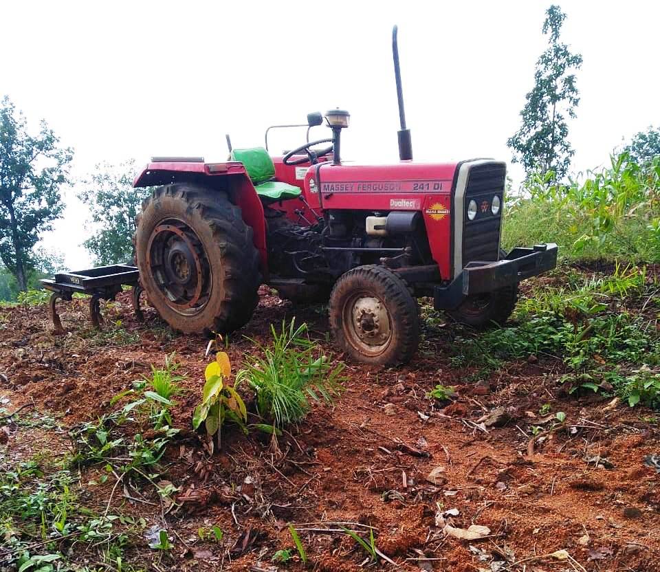 सागौन की अवैध कटाई पर गैर जमानती अपराध में 04 आरोपी गिरफ्तार
