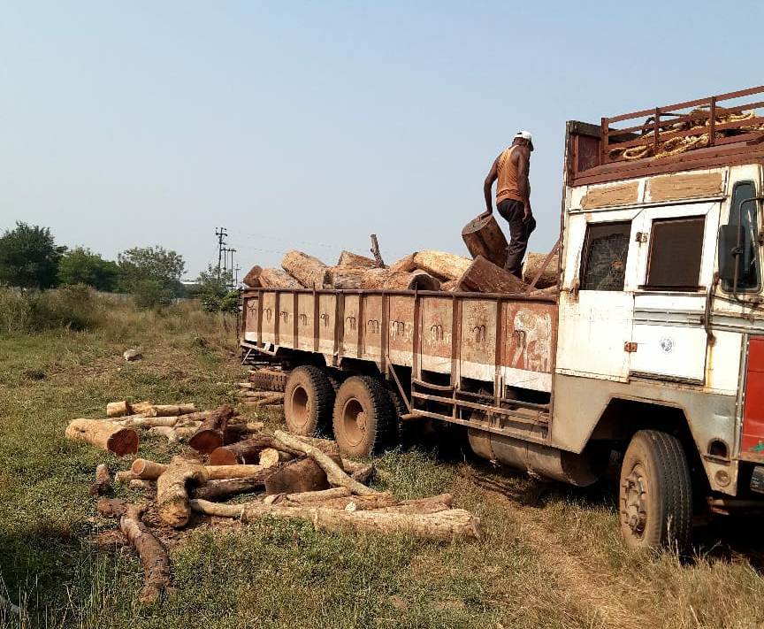 राजधानी के टाटीबंध में 10 लाख रूपए से अधिक मूल्य के खैर तथा तेंदू आदि प्रजाति के लकड़ी का गोला जब्त