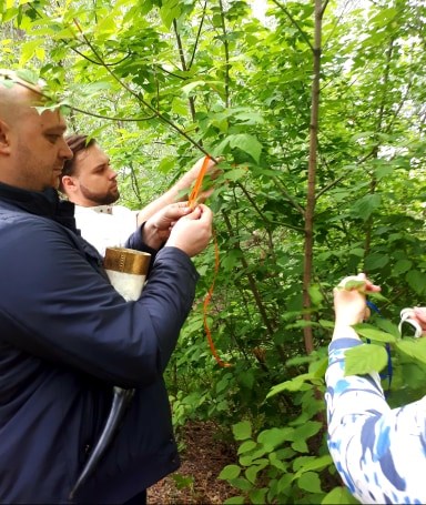 Maik 2020 3