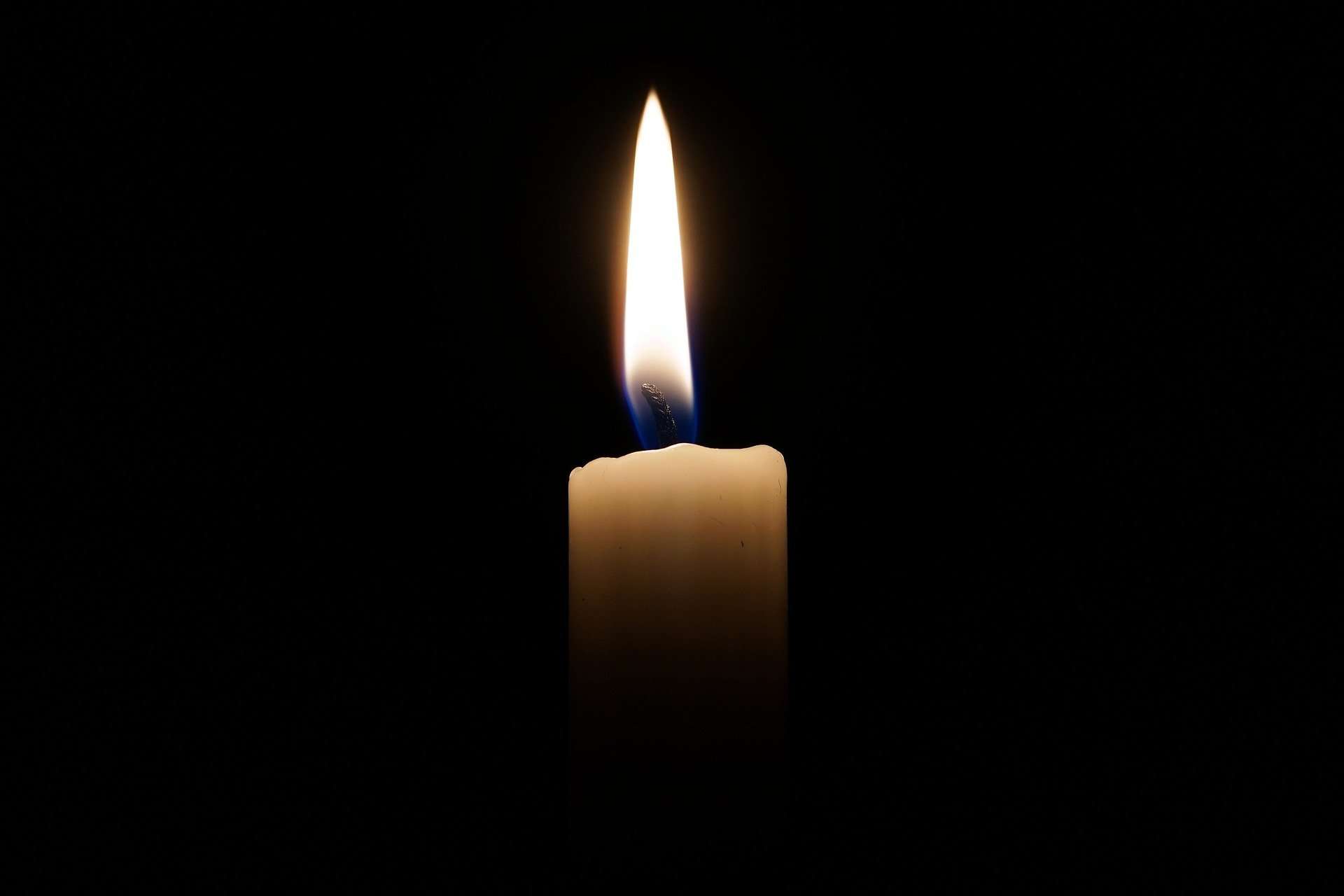 Jesus, Light of the World (John 8:12)
